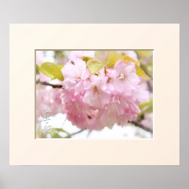 Double Cherry Blossom: Benitemari ポスター Poster (Vorne)