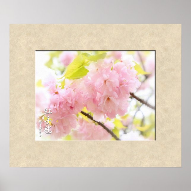 Double Cherry Blossom: Benitemari Poster (Vorne)