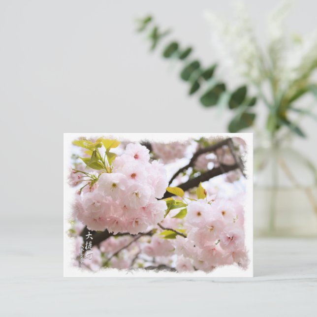 Double Cherry Blossom: Oh-jochin ポストカード Postkarte (Stehend Vorderseite)