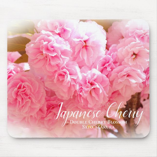 Double Cherry Blossom: Sato-zakura Mousepad (Vorne)