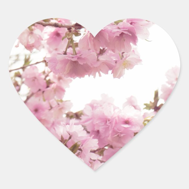 Double cherry blossoms in Japan ハートシール Herz-Aufkleber (Vorderseite)