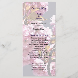 Double Cherry Blossoms Succursales Programme de ma