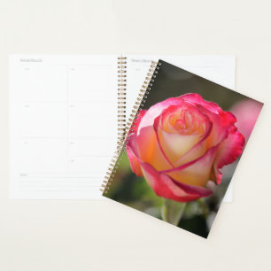 Double Delight Rose Planer