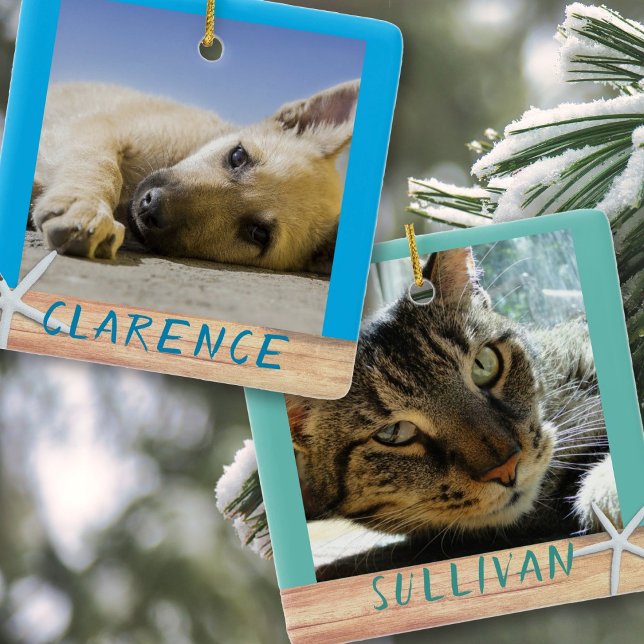 Double face Animaux Photos Starfish Ornement en cé (Créateur téléchargé)