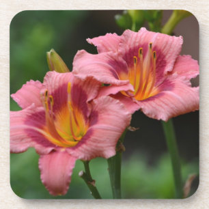 Double Lily Untersetzer