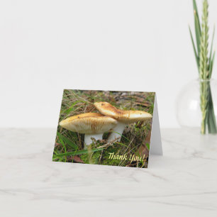 Double Mushroom Note Card Karte