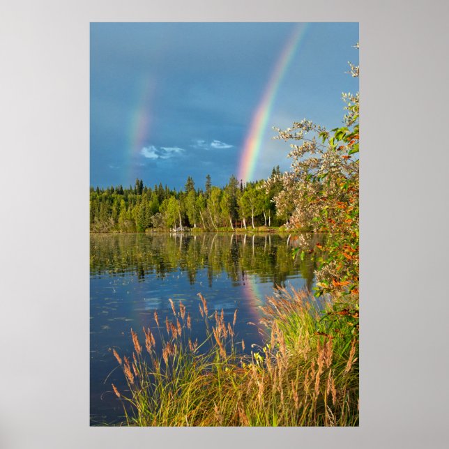 Double Rainbow - Birch Lake Poster (Vorne)