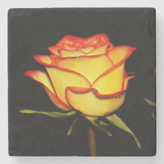 Double Red and Yellow Rose Bloom Steinuntersetzer