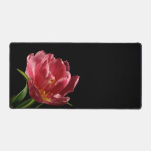 Double Tulip Blooms Belle Photo Fleur Printemps