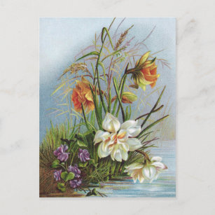 Double White und Gold Narcissus von einem Teich Postkarte