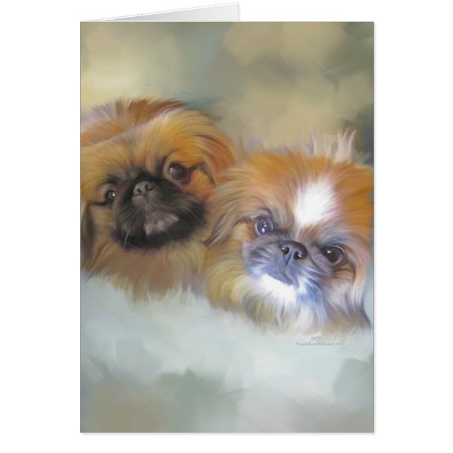 Douce Duo de Pékinois (Devant)