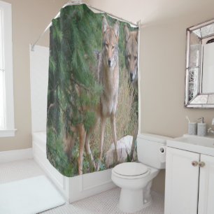 Douche rideau Coyote