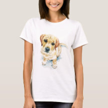 Dougie, der goldene Labrador Retriever Welpe.