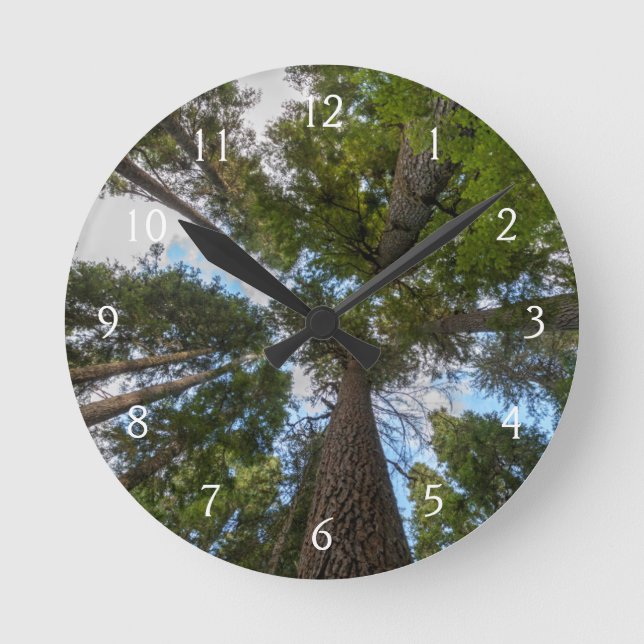 Douglas Fir Baumkronen Runde Wanduhr (Vorderseite)