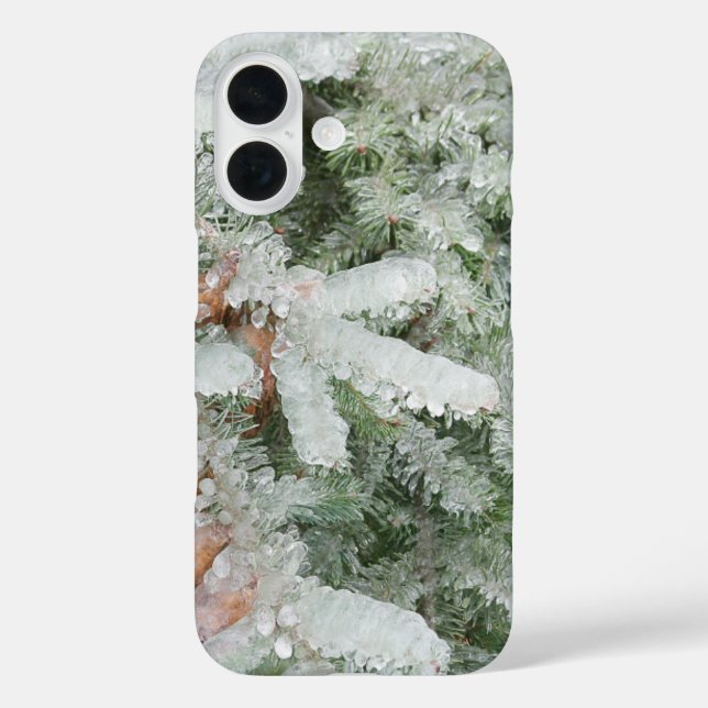 Douglas Fir mit Eis überzogen iPhone 16 Hülle (Rückseite)