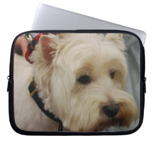 Douilles d'ordinateur portable de sac de