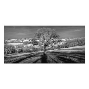Doulting Hill Panorama Fotodruck