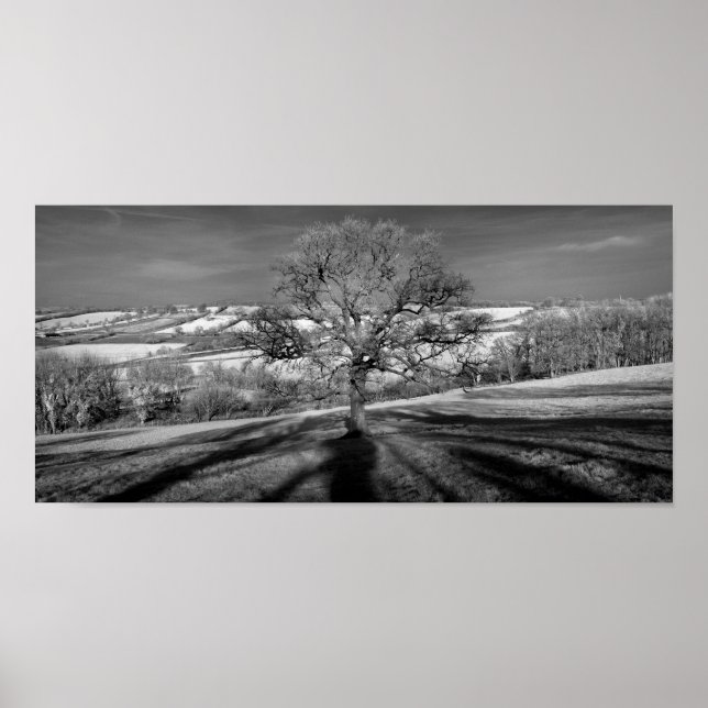 Doulting Hill Panorama Poster (Vorne)
