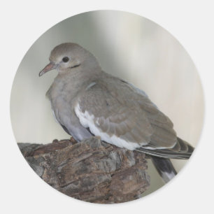 Dove-Aufkleber Runder Aufkleber