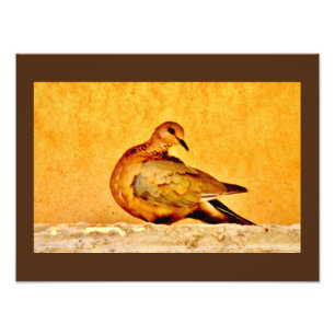 Dove Beauty Fotodruck