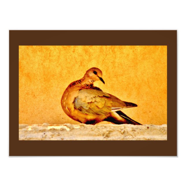 Dove Beauty Fotodruck (Vorne)