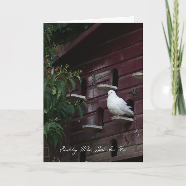 Dove Birthday Grußkarte Karte (Vorderseite)