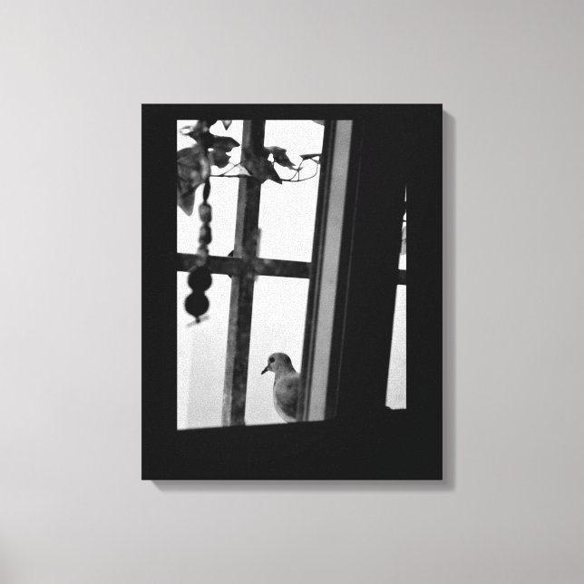 Dove Daydreams Leinwanddruck (Vorderseite)