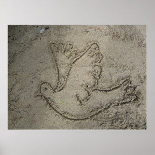 Dove Gezeichnet in das Sand Poster