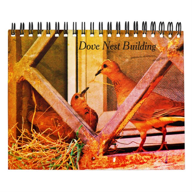 Dove Nest Gebäude Kalender (Titelbild)