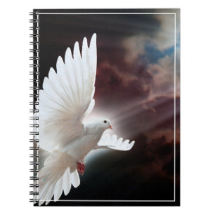 Dove-Notebook Notizblock