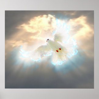 Dove Poster