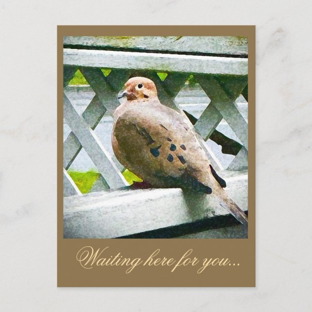 "DOVE" POSTKARTE (Vorderseite)