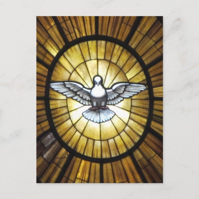 Dove Postkarte (Vorderseite)