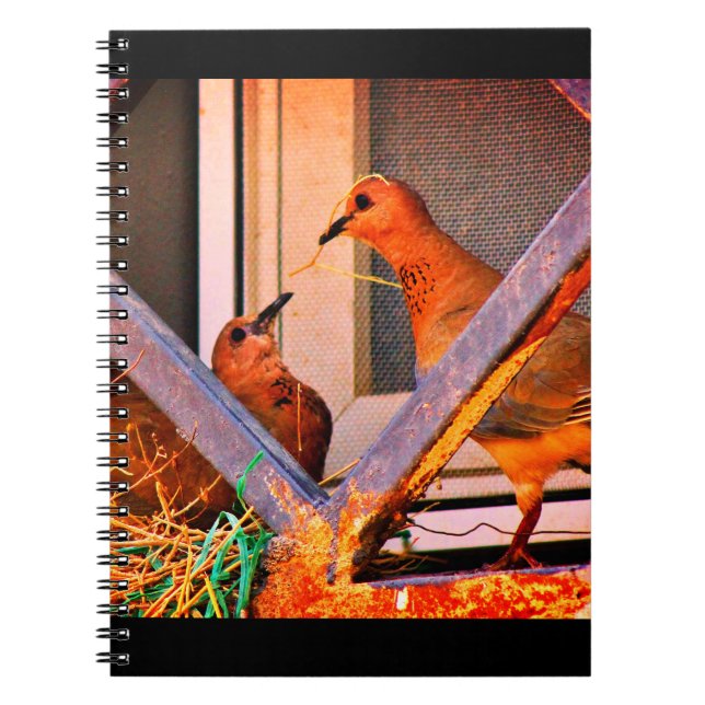 Dove Romance Notizblock (Vorderseite)