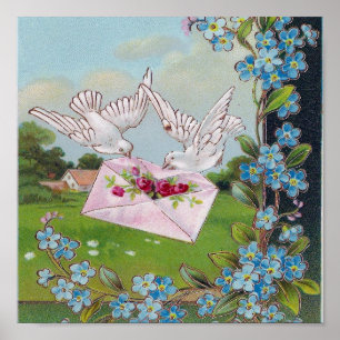 Doves liefern die Mail Poster