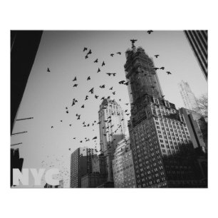 Doves over Manhattan Poster