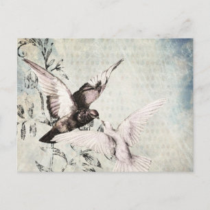 Doves Postkarte