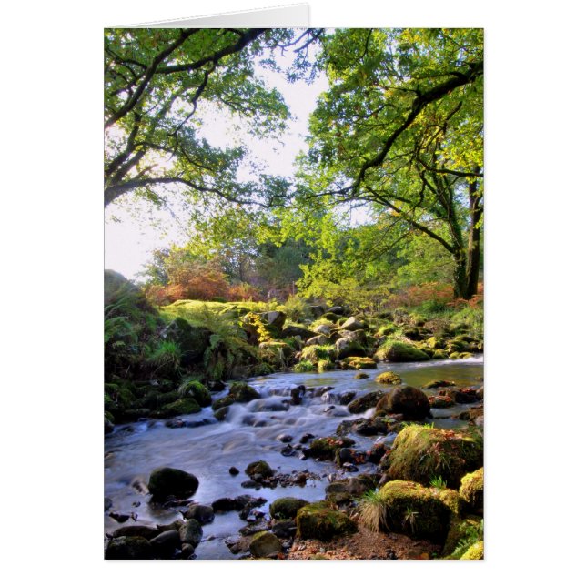 'Down by River' (Vorne)