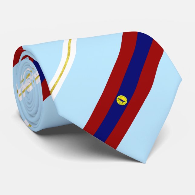 Downey (Kalifornien) Stadtflagge Neck Tie Krawatte (Gerollt)
