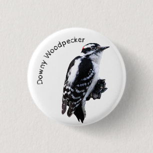 Downy Woodpecker Button