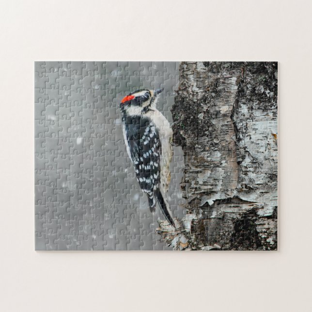 Downy Woodpecker in Snow - Original Foto (Horizontal)