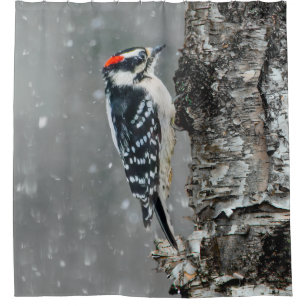 Downy Woodpecker in Snow - Original Foto Duschvorhang