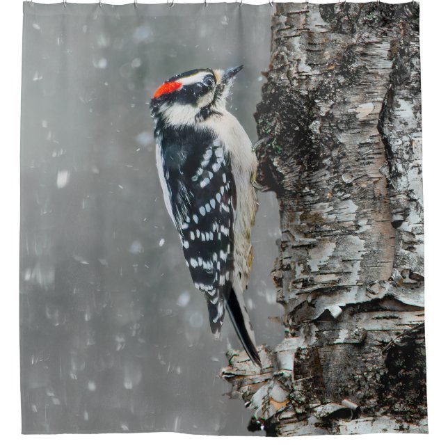Downy Woodpecker in Snow - Original Foto Duschvorhang (Vorderseite)