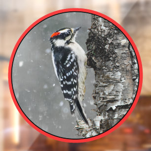 Downy Woodpecker in Snow - Original Foto Fensteraufkleber