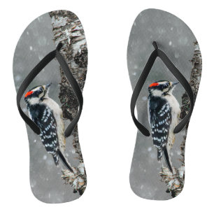 Downy Woodpecker in Snow - Original Foto Flip Flops