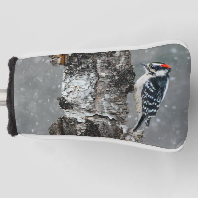 Downy Woodpecker in Snow - Original Foto Golf Headcover (Vorderseite)