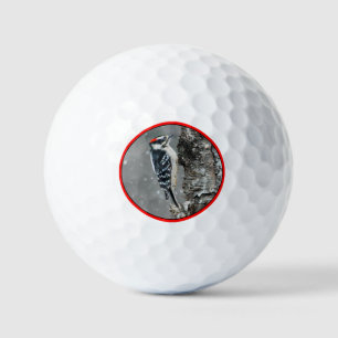 Downy Woodpecker in Snow - Original Foto Golfball