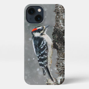 Downy Woodpecker in Snow - Original Foto iPhone Hülle