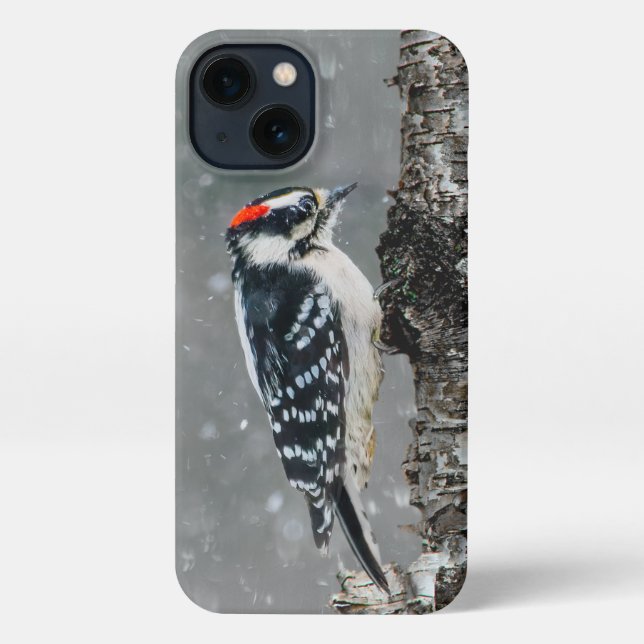 Downy Woodpecker in Snow - Original Foto iPhone Hülle (Rückseite)