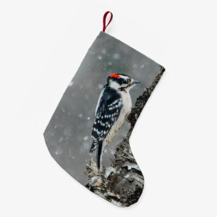 Downy Woodpecker in Snow - Original Foto Kleiner Weihnachtsstrumpf